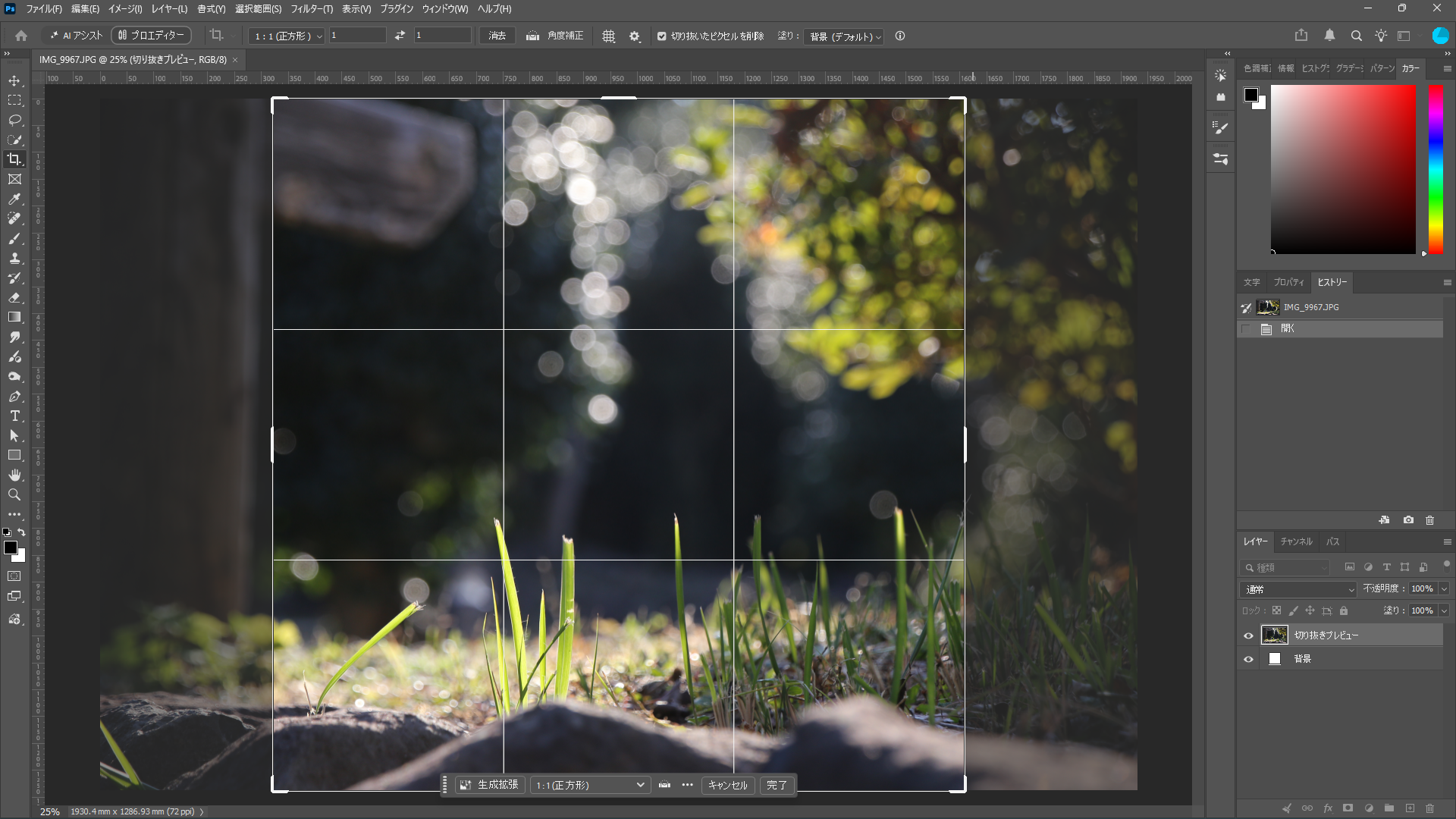 Photoshop 27.10.0で1:1を選び、草と木漏れ日の写真に正方形の切り抜き枠を表示した画面