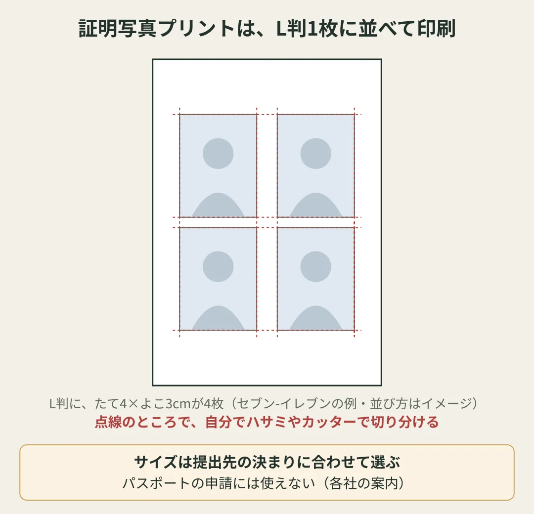 証明写真プリントの図。L判1枚に、たて4×よこ3cmの証明写真が4枚入る（セブン-イレブンの例、並び方はイメージ）。点線のところで自分で切り分ける。サイズは提出先の決まりに合わせて選ぶ。パスポートの申請には使えない（各社の案内）