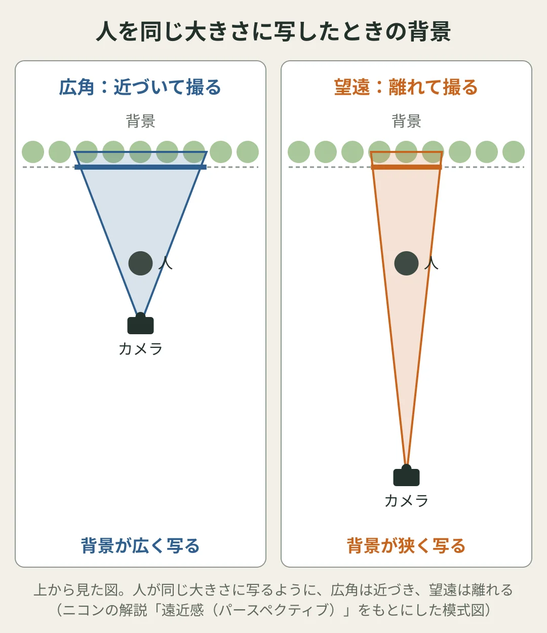 人を同じ大きさに写したときの背景の図。上から見て、広角レンズでは人に近づいて撮るので背景が広く写る。望遠レンズでは人から離れて撮るので背景が狭く写る(遠近感が圧縮されたように見える)