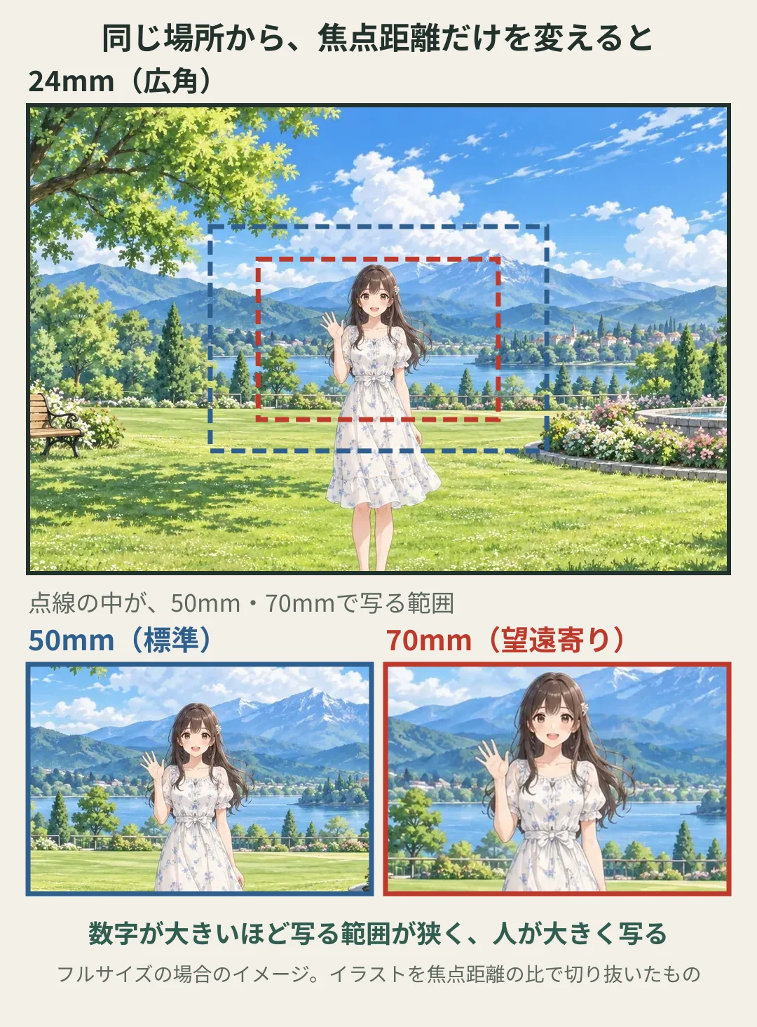 同じ場所から焦点距離だけを変えたときの写る範囲のイラスト。24mm(広角)では公園の景色が広く写り、50mm(標準)、70mm(望遠寄り)と数字が大きくなるほど写る範囲が狭くなり、真ん中の女性が大きく写る。イラストを焦点距離の比で切り抜いたイメージ